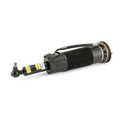 Air Suspension Strut