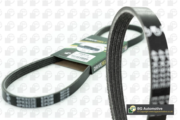 V-ribbed Belt