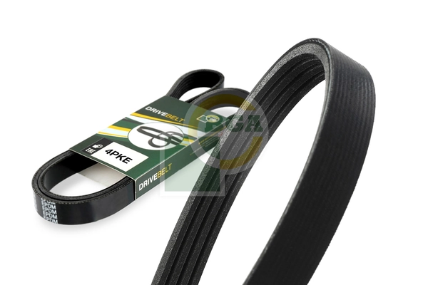 V-ribbed Belt