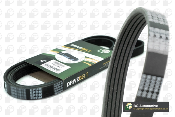 V-ribbed Belt