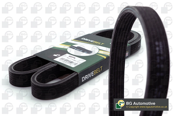 V-ribbed Belt
