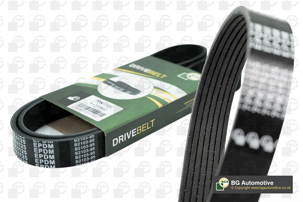 V-ribbed Belt