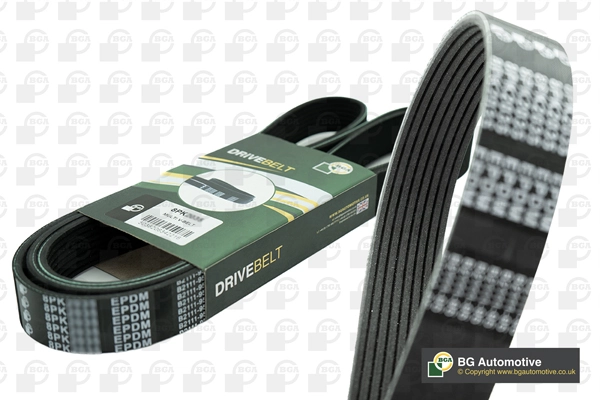 V-ribbed Belt