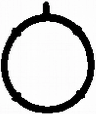 Gasket, intake manifold