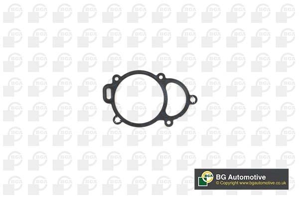 Gasket, timing case