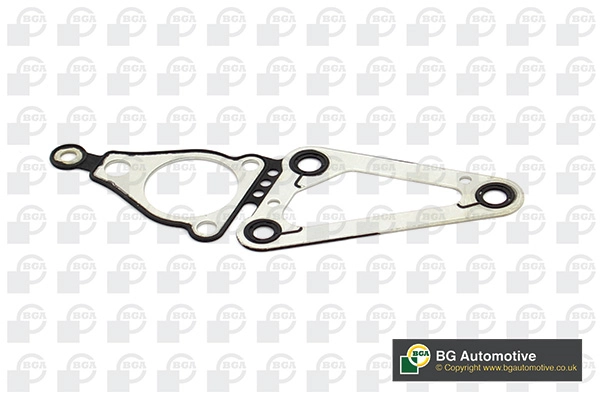 Gasket, timing case