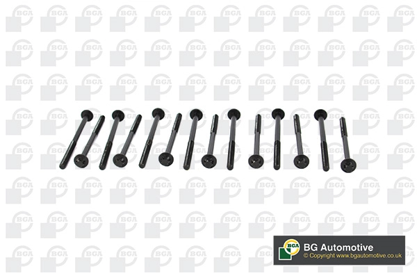 Cylinder Head Bolt Set