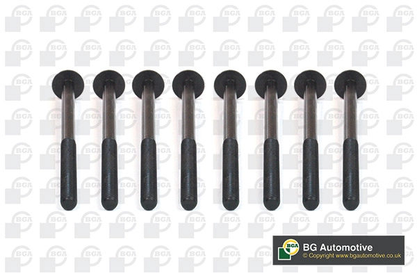 Cylinder Head Bolt Set