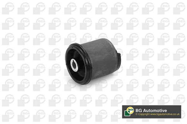 Mounting, control/trailing arm
