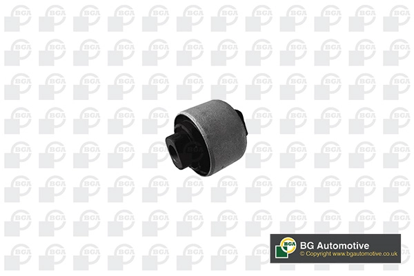 Mounting, control/trailing arm