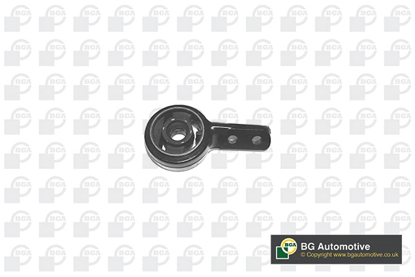 Mounting, control/trailing arm