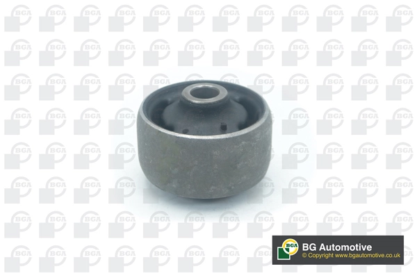 Mounting, control/trailing arm