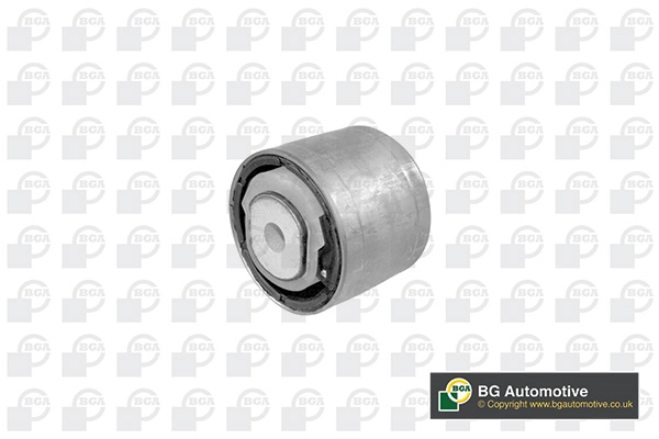 Mounting, control/trailing arm