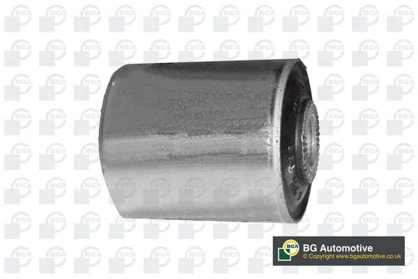Mounting, control/trailing arm