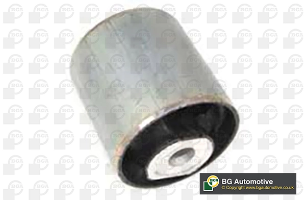 Mounting, control/trailing arm