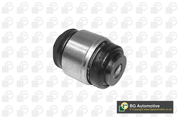 Mounting, control/trailing arm