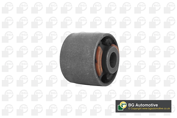 Mounting, control/trailing arm