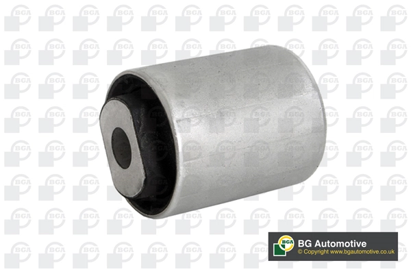 Mounting, control/trailing arm
