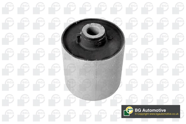 Mounting, control/trailing arm