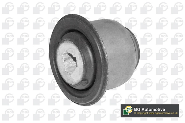 Mounting, control/trailing arm
