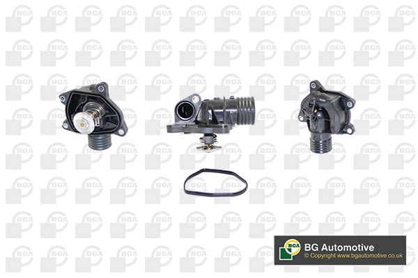 Thermostat, coolant