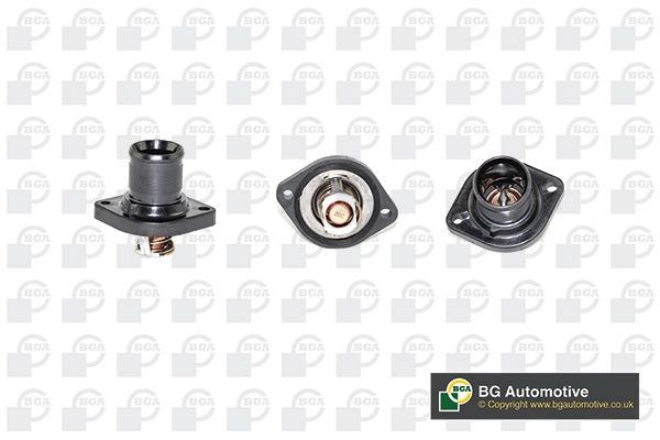Thermostat, coolant