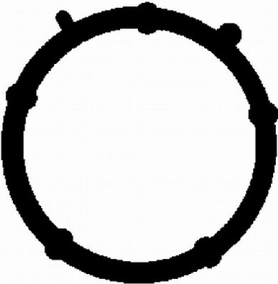 Gasket, intake manifold