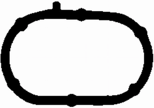Gasket, intake manifold