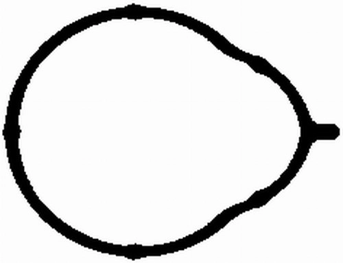 Gasket, intake manifold