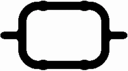 Gasket, intake manifold
