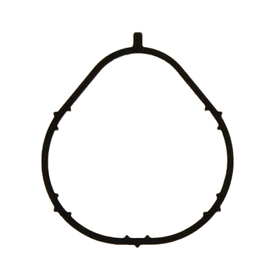 Gasket, intake manifold