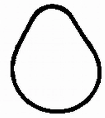 Gasket, intake manifold