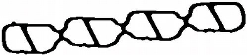 Gasket, intake manifold