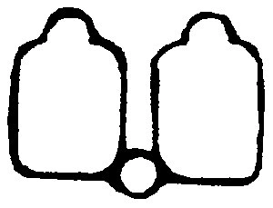Gasket, intake manifold
