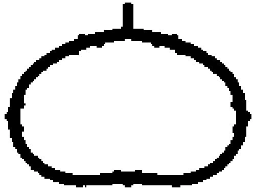 Gasket, intake manifold