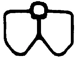 Gasket, intake manifold