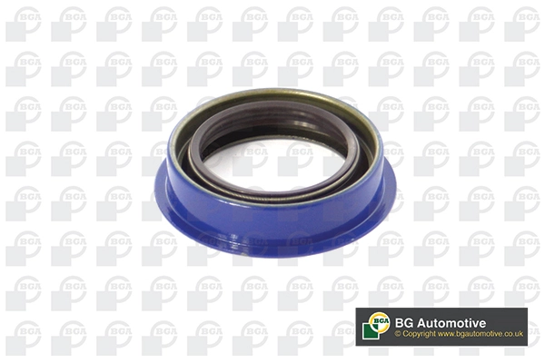 Shaft Seal, differential