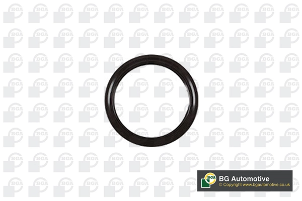 Shaft Seal, crankshaft