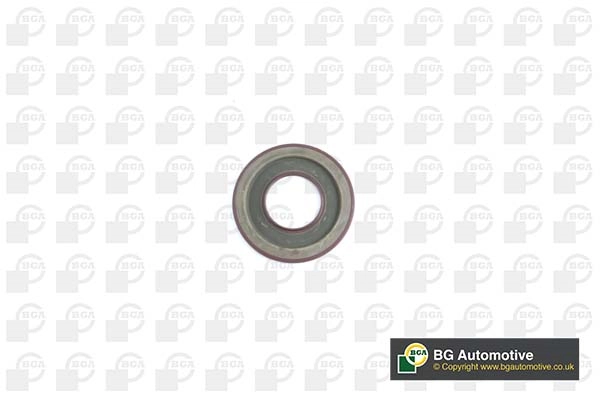 Shaft Seal, crankshaft