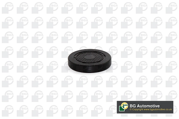 Plug, rocker arm shaft mounting bore