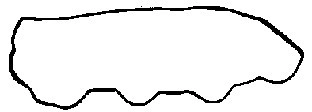 Gasket, cylinder head cover
