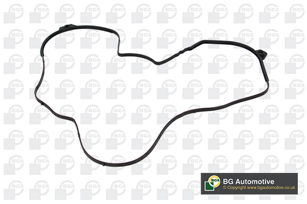 Gasket, timing case