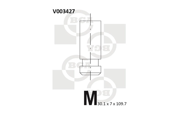 Exhaust Valve