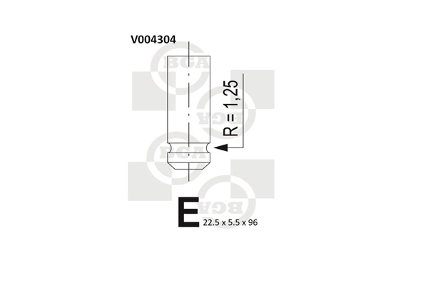 Exhaust Valve