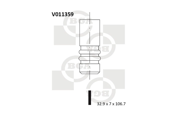 Intake Valve