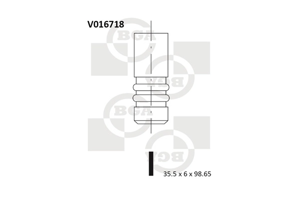 Intake Valve