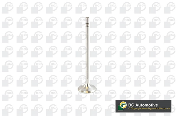 Intake Valve
