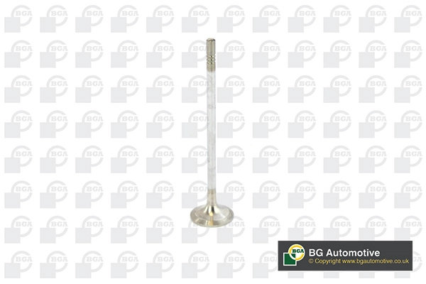 Exhaust Valve