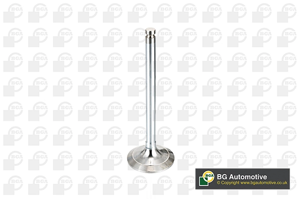Intake Valve