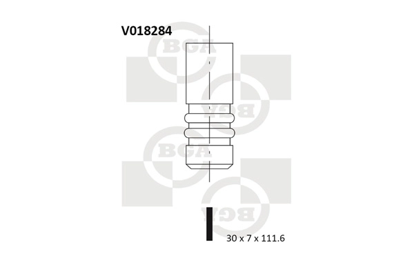 Exhaust Valve